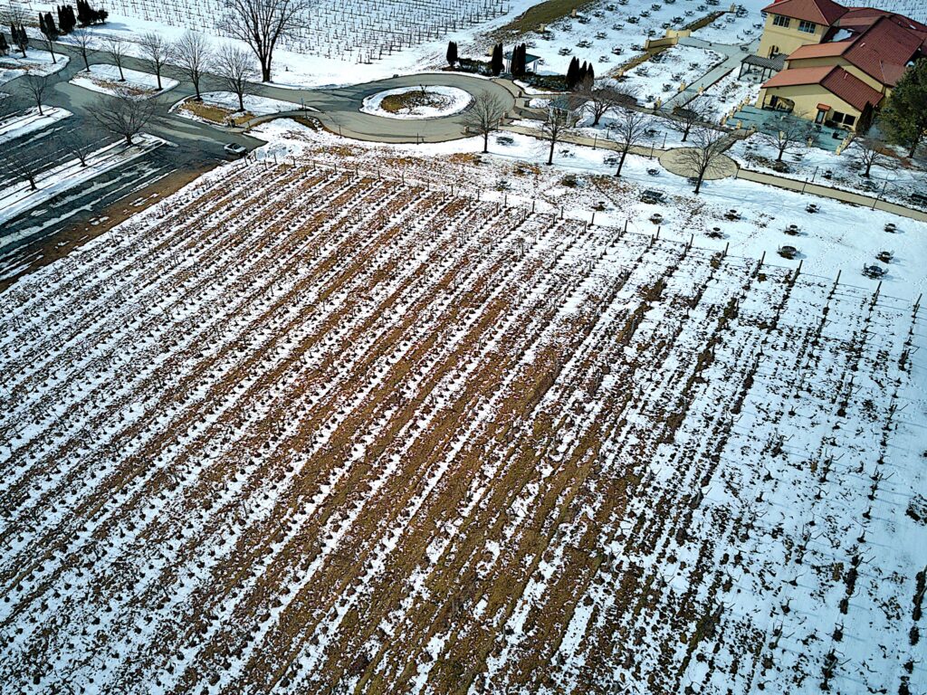 Winter White Flights! Breaux Vineyards Top Winery & Tasting Room in